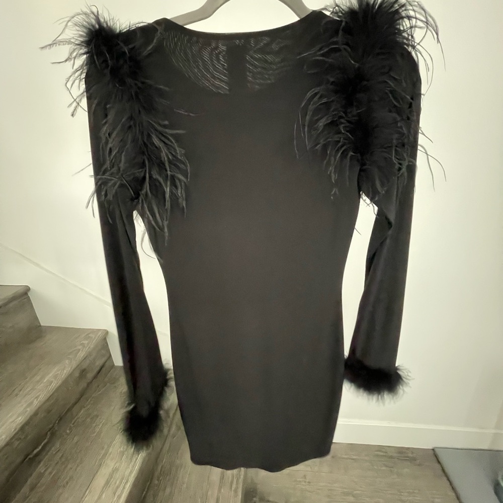Long sleeve black feathered dress